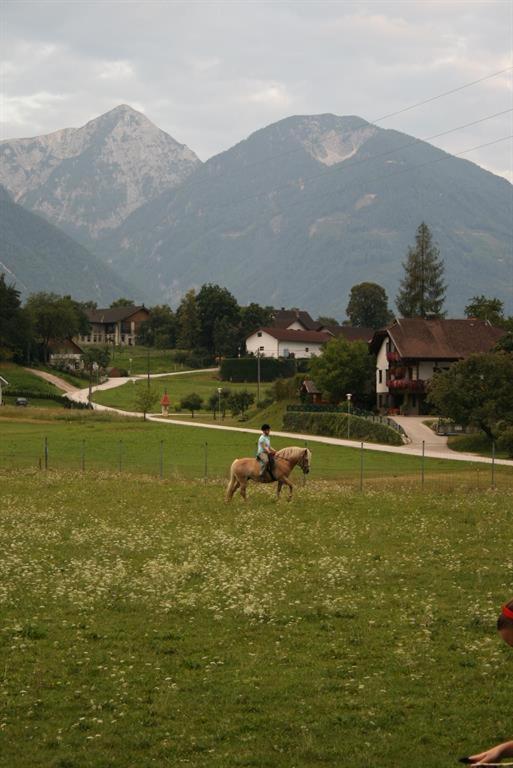 Bauernhof-pension Puschnikhof Farm stay
