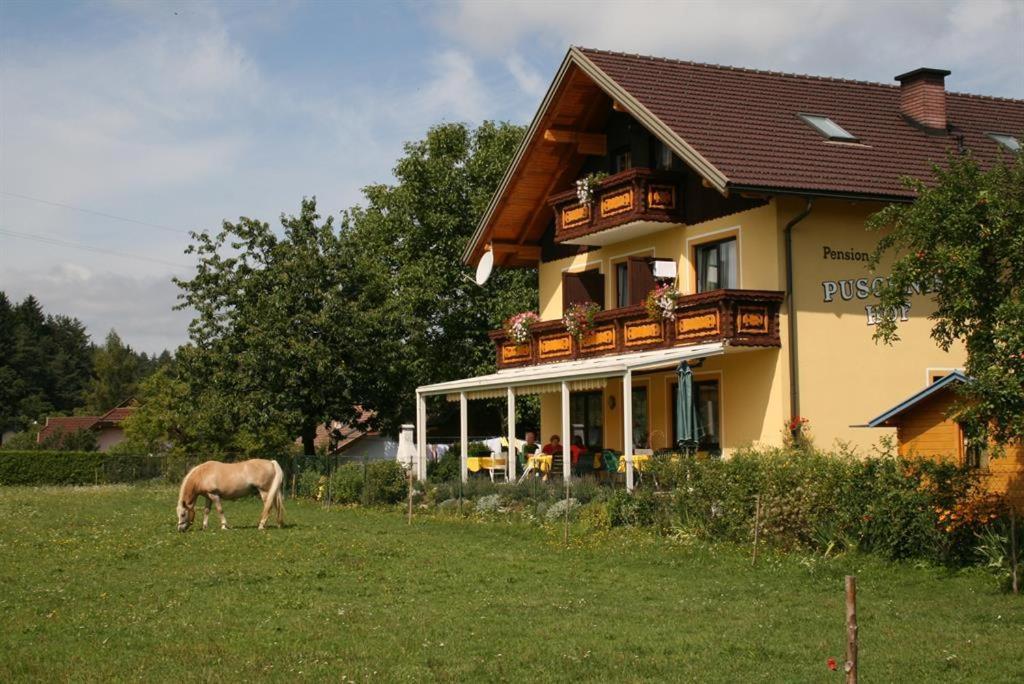 Bauernhof-pension Puschnikhof Unternarrach