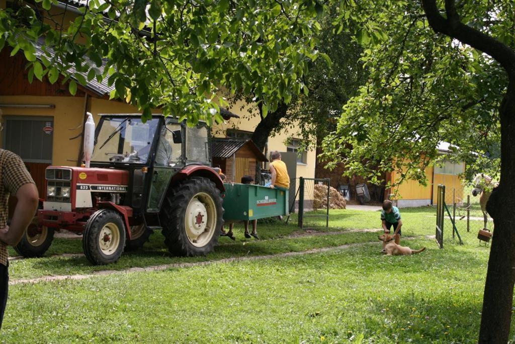 Bauernhof-pension Puschnikhof * Unternarrach