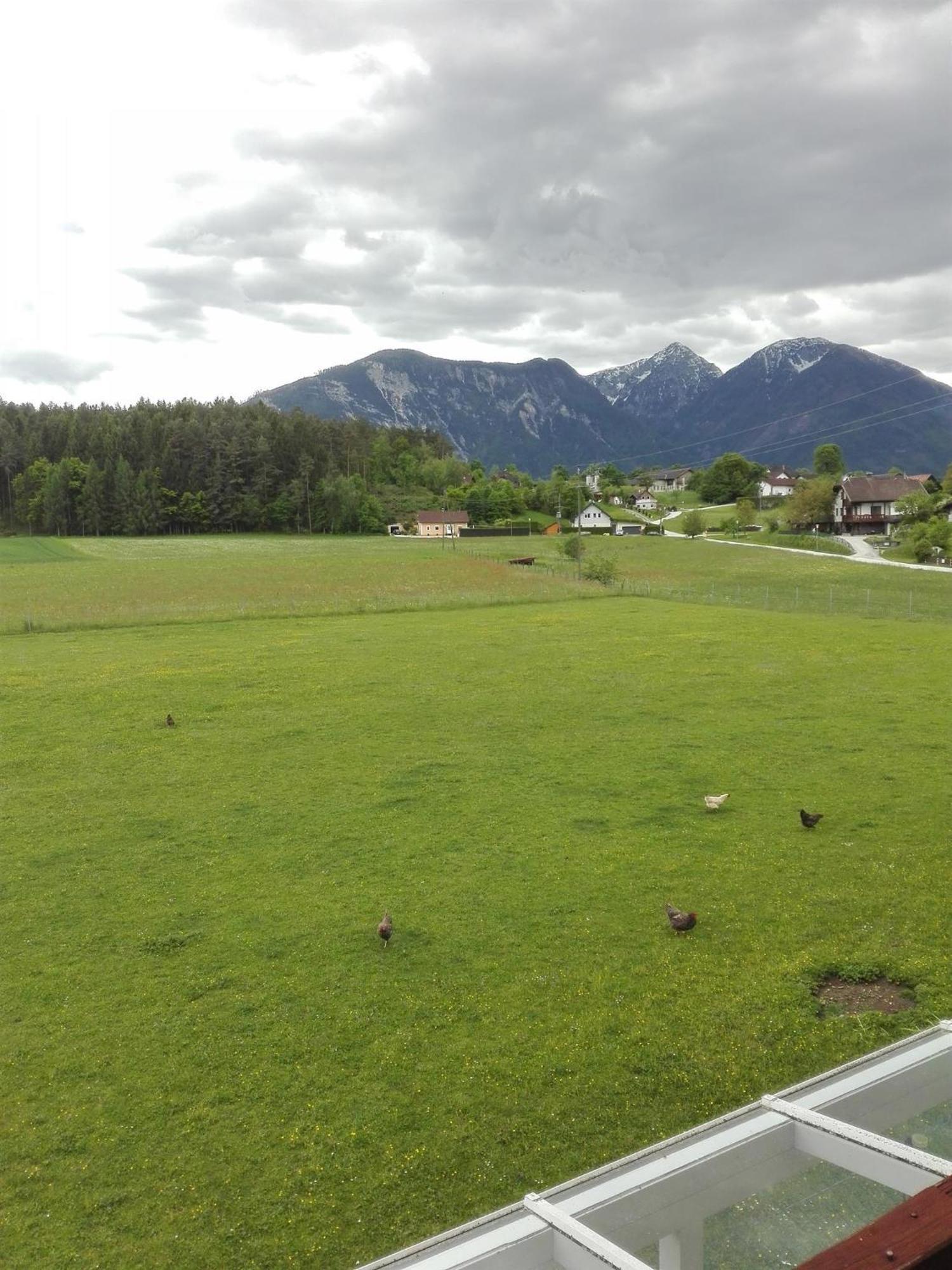 Farm stay Bauernhof-pension Puschnikhof