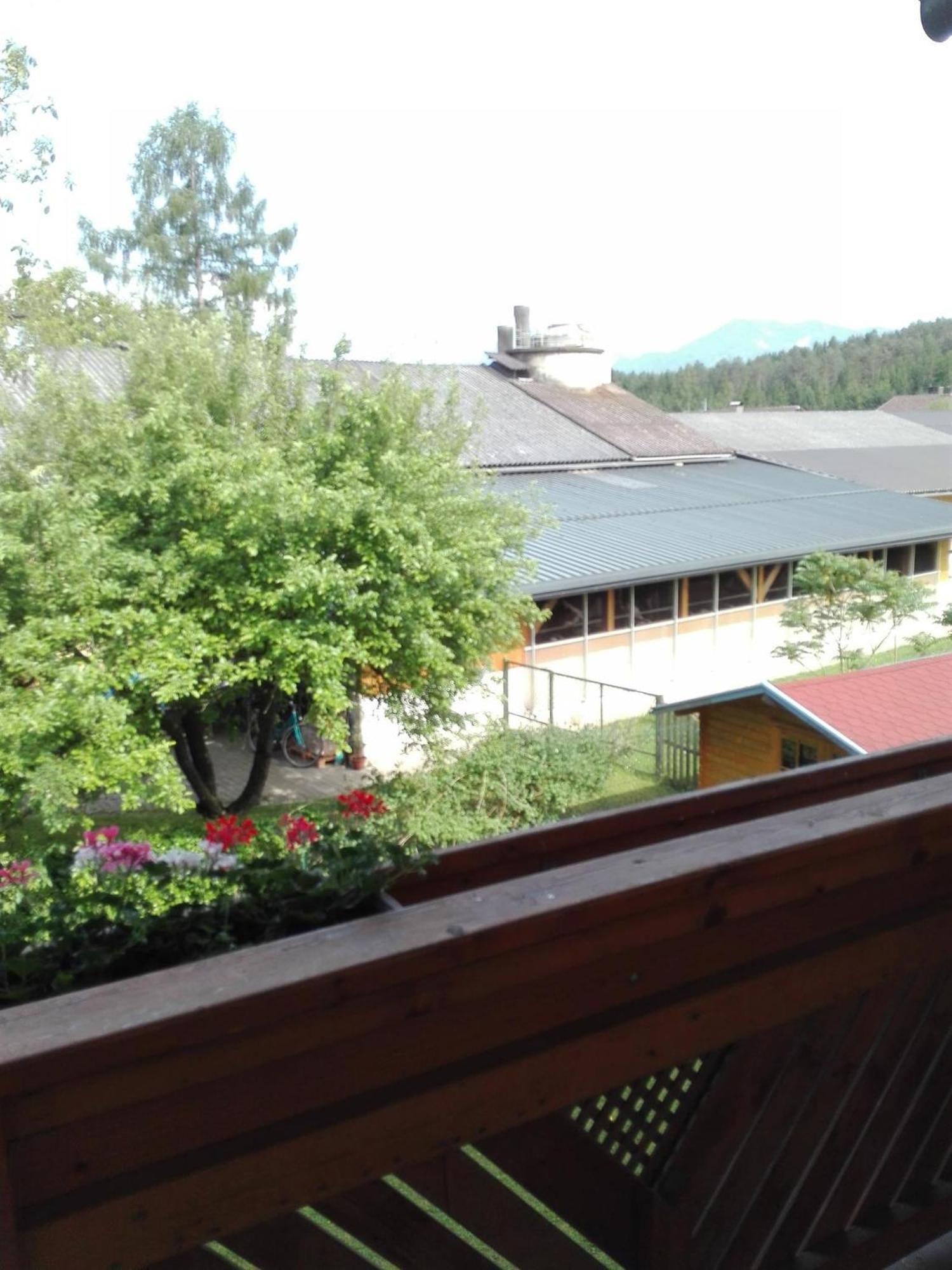 Farm stay Bauernhof-pension Puschnikhof *