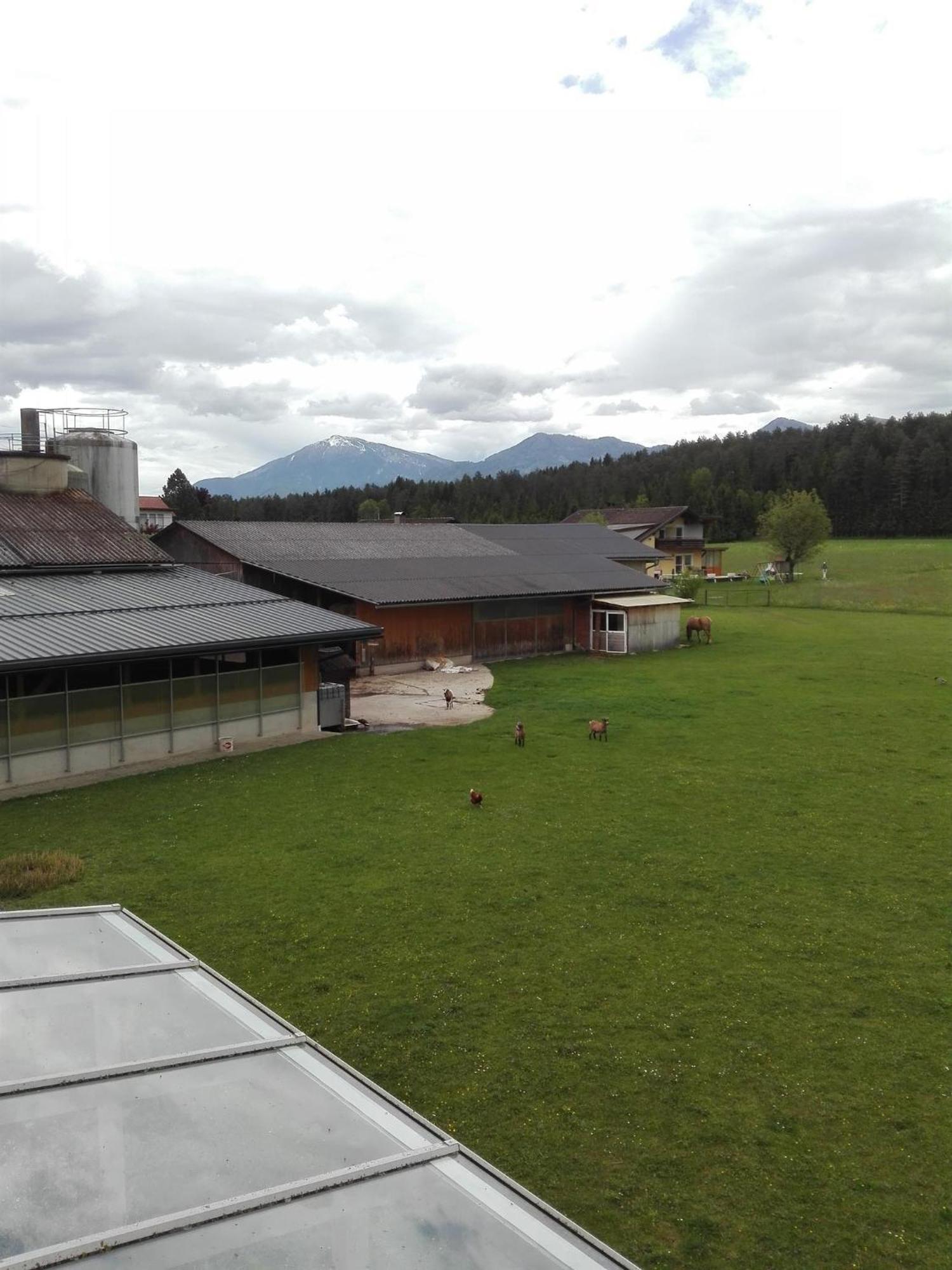 Bauernhof-pension Puschnikhof Farm stay Unternarrach