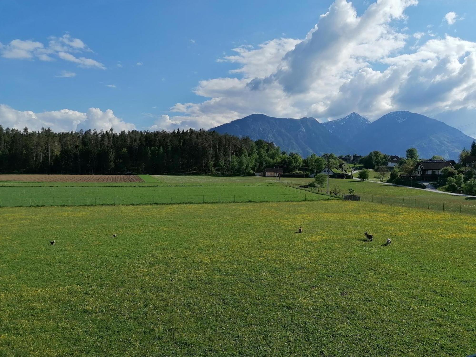 Farm stay Bauernhof-pension Puschnikhof