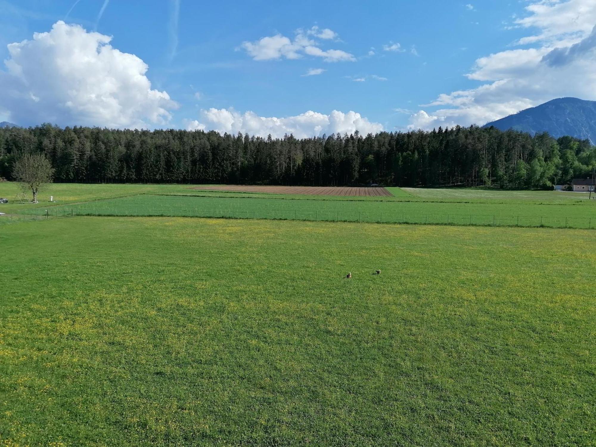 Farm stay Bauernhof-pension Puschnikhof Unternarrach