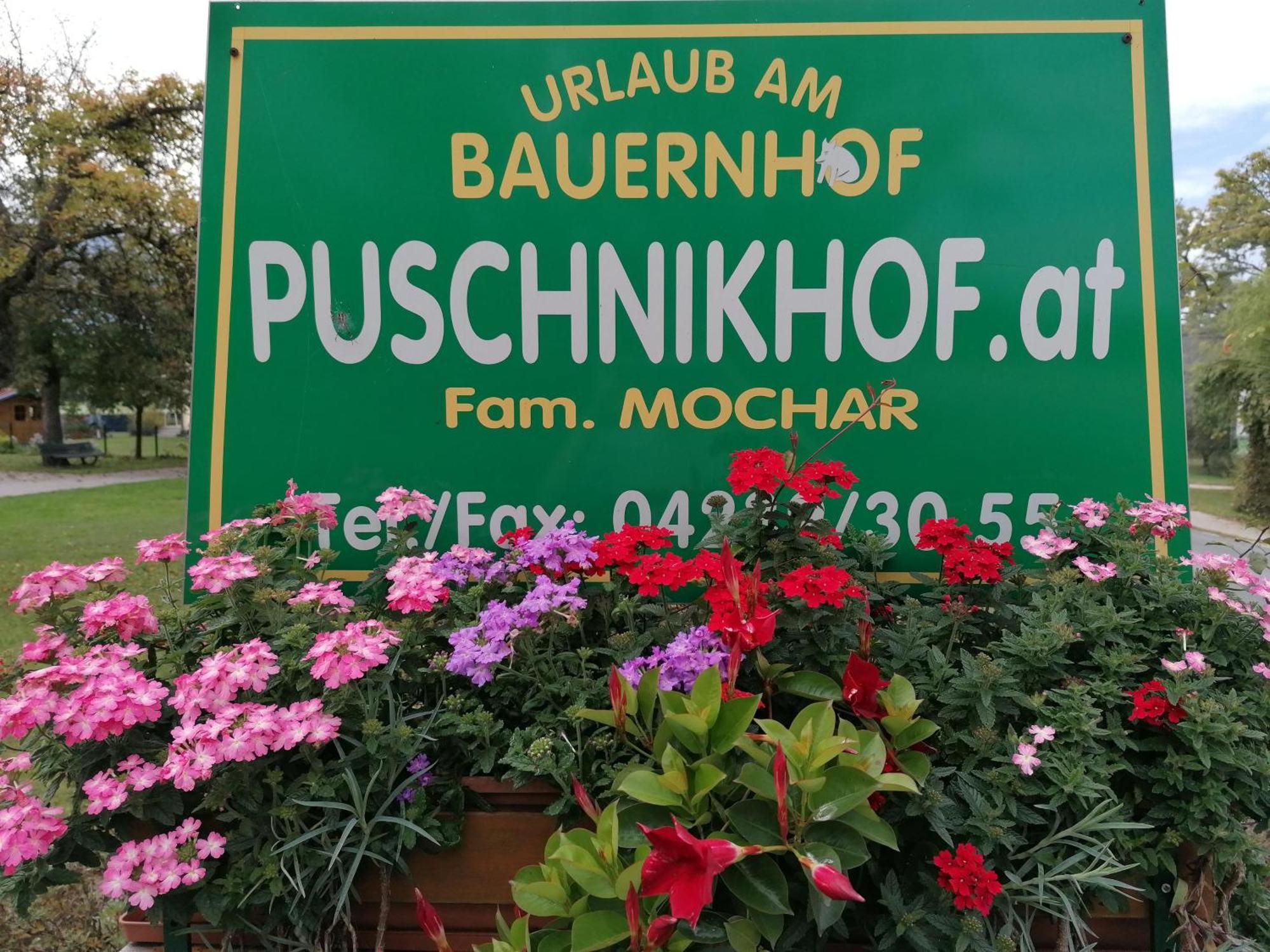 Farma Bauernhof-pension Puschnikhof Unternarrach