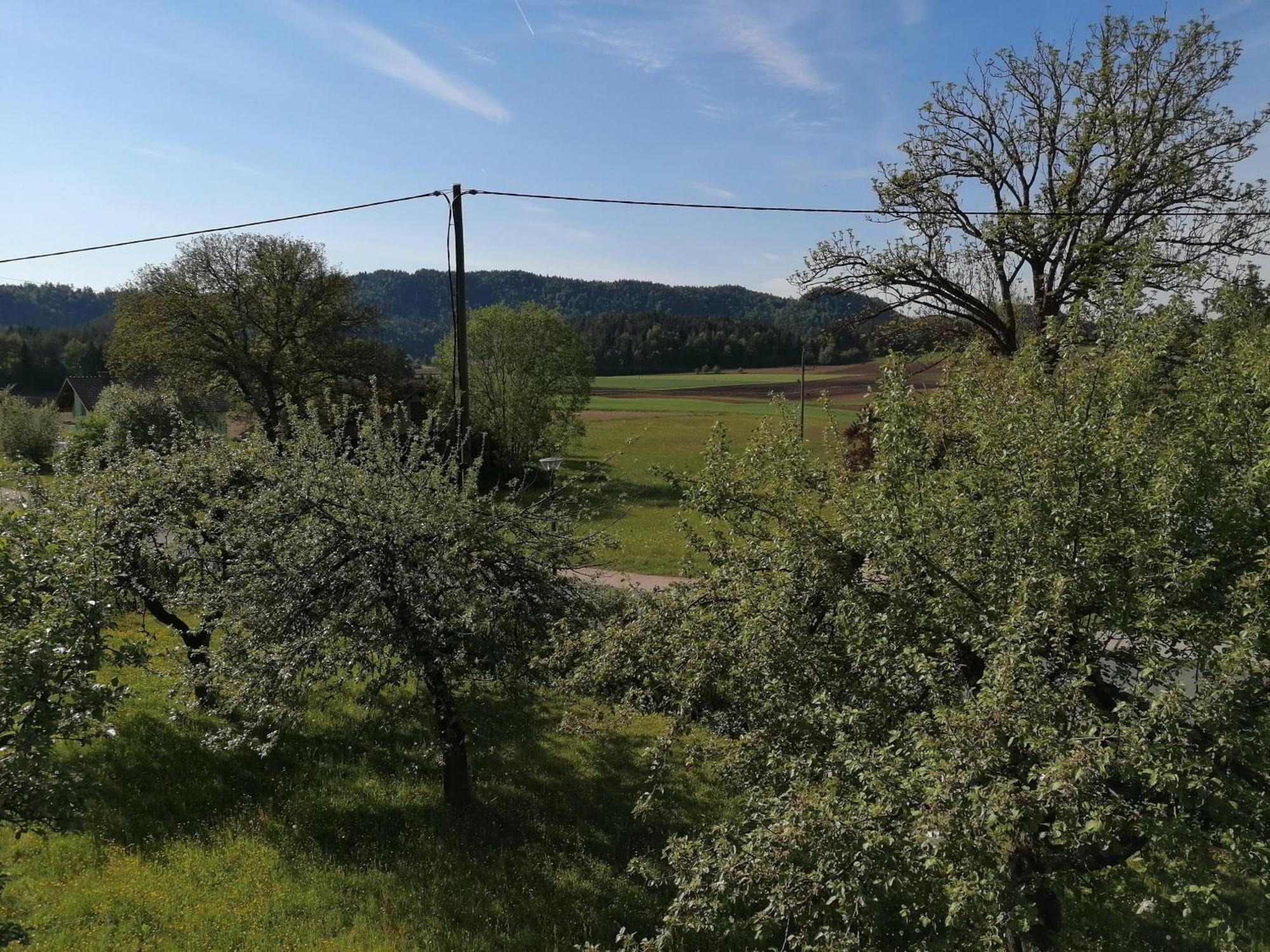 Farm stay Bauernhof-pension Puschnikhof